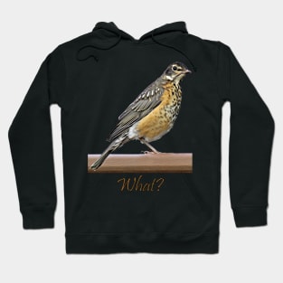 What? Robin Hoodie